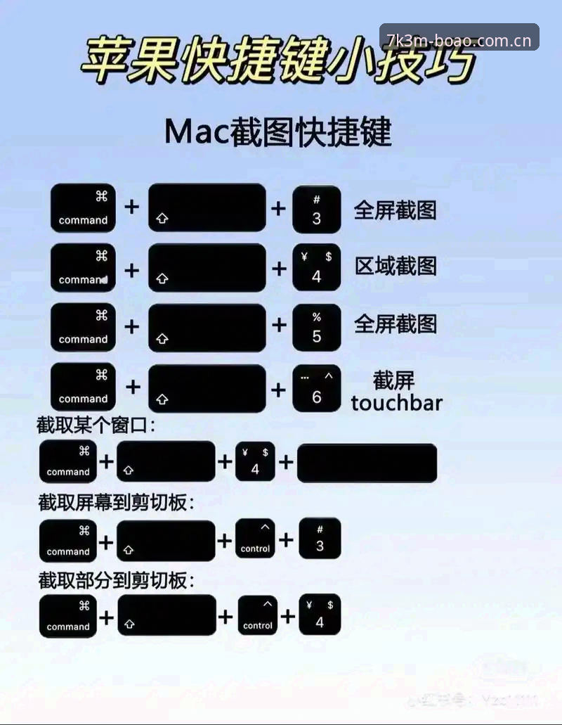 博奥电脑版怎么用？新手玩家必看的完整攻略指南